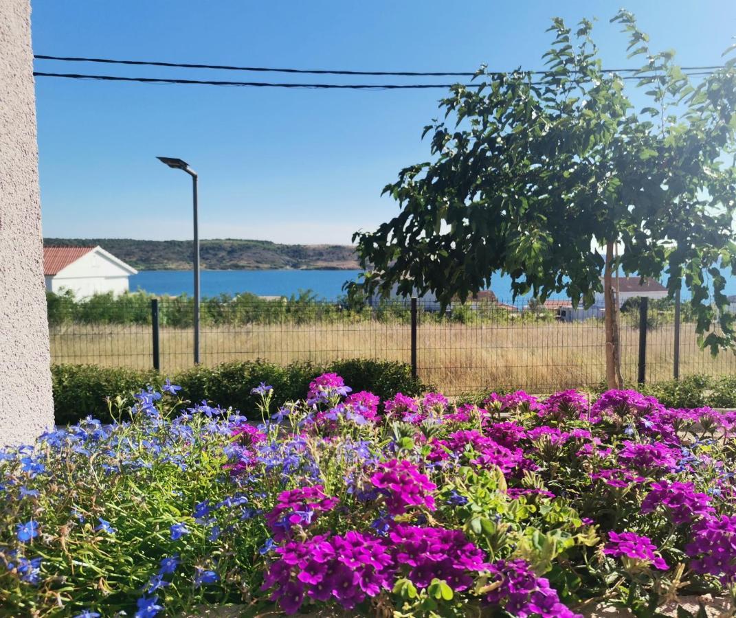 Apartmani Darko Ртина Екстериор снимка